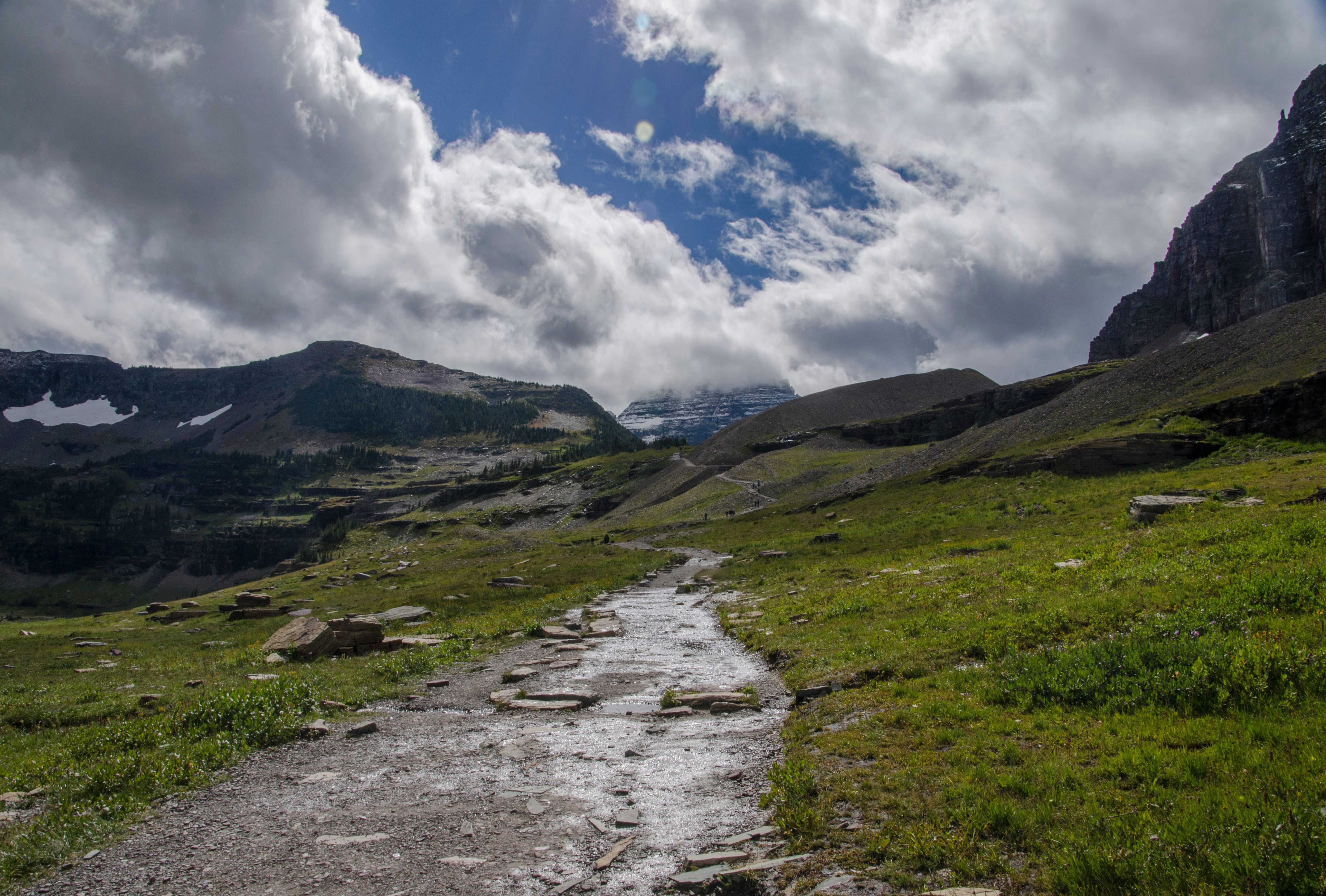 Stone trail leading toward mountains through green alpine meadow