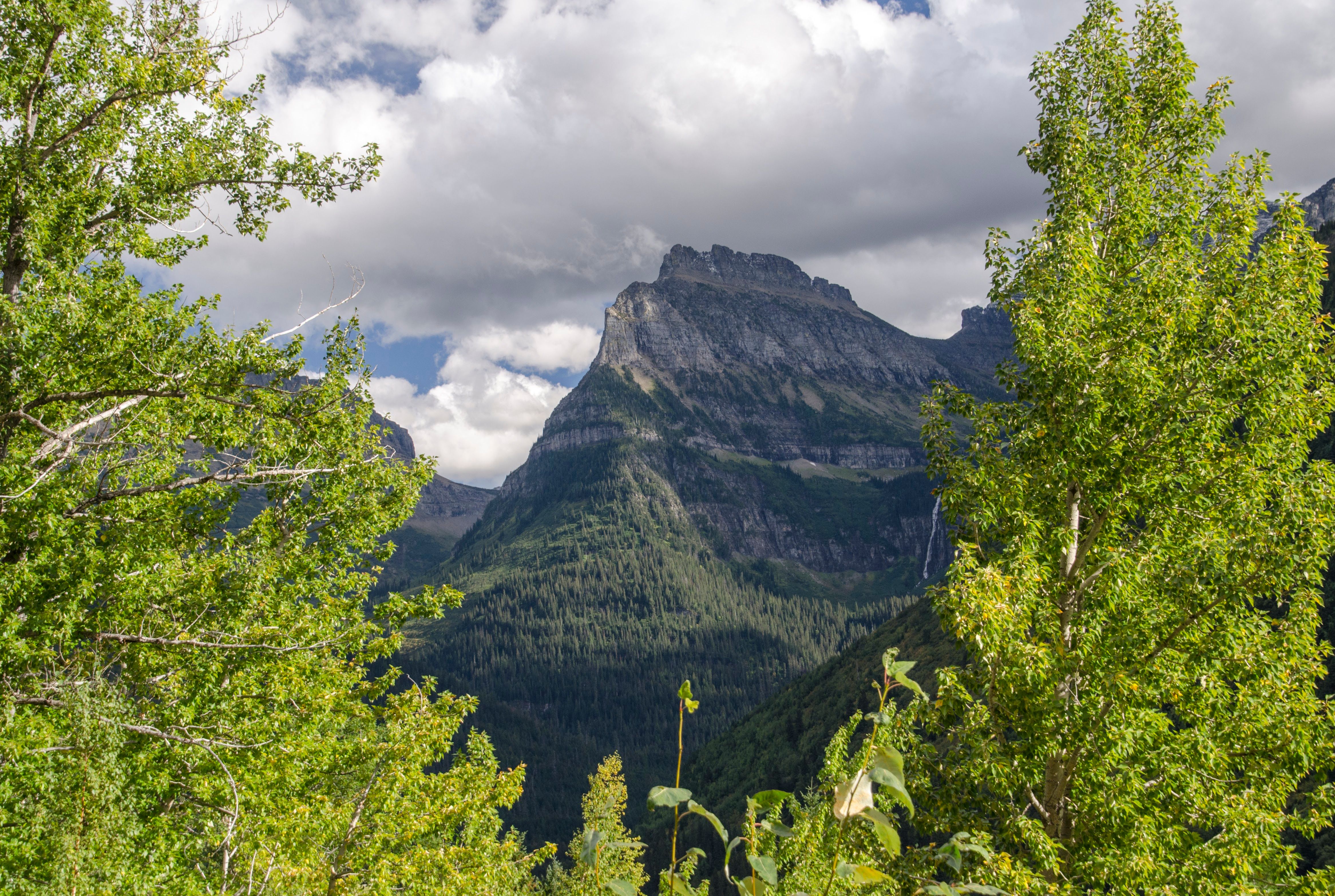 Mountain framed by trees