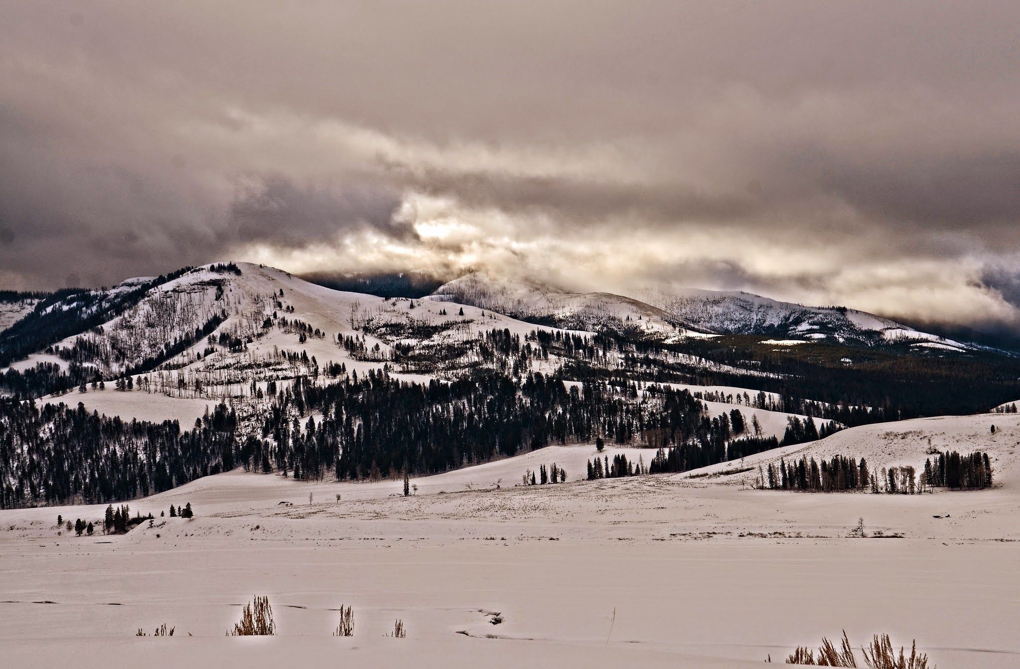 A vast snow-covered Lamar Valley under a stormy grey sky with rolling forested ridgelines and open sagebrush flats