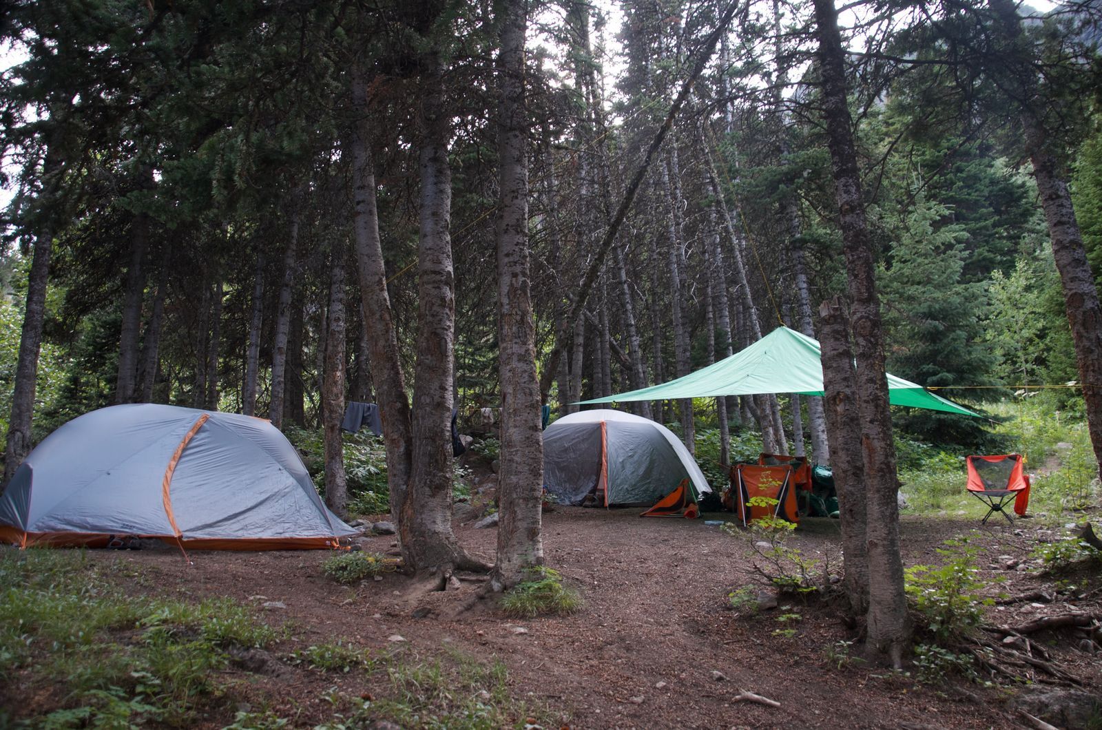 Backcountry campsite with tents and tarp shelter in dense spruce forest