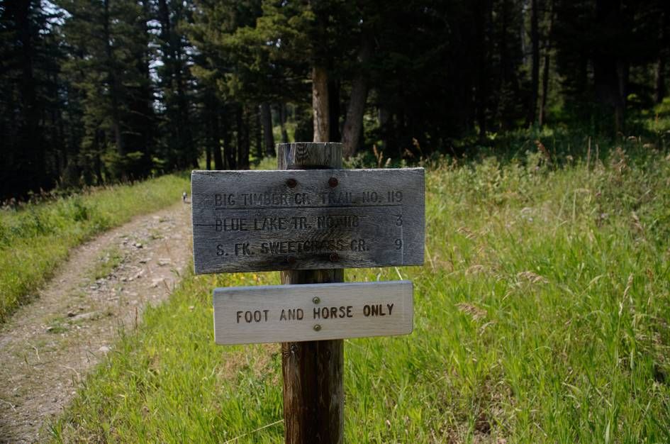 Wooden trail sign for Big Timber Creek Trail 119 with mileages and foot/horse only notice