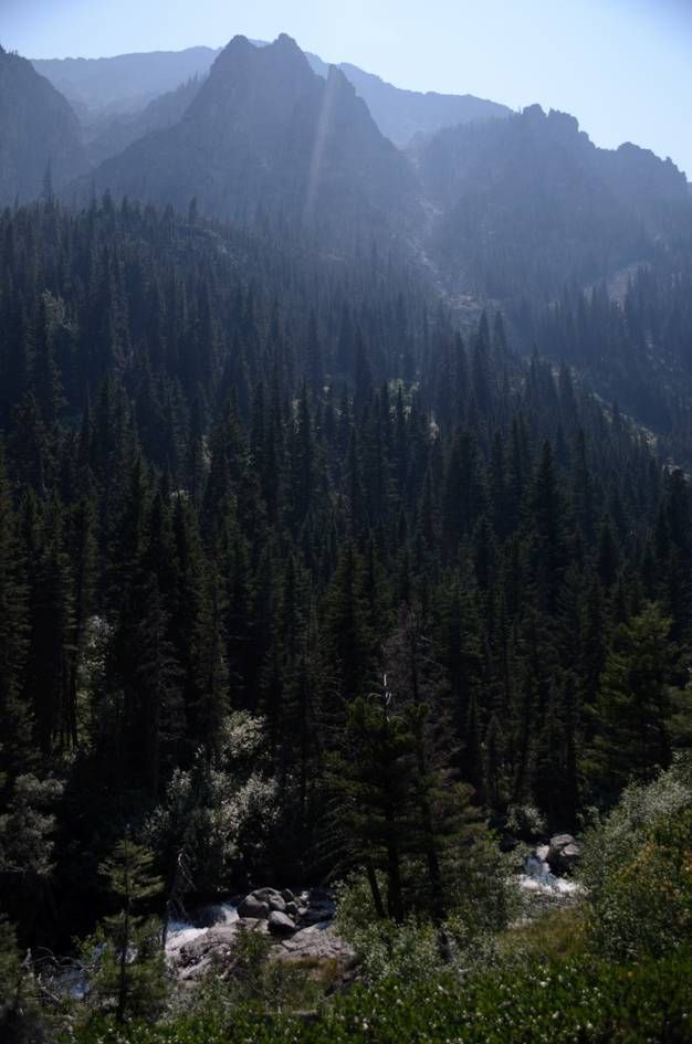 Distant mountain peaks rising above dense evergreen forest with creek below