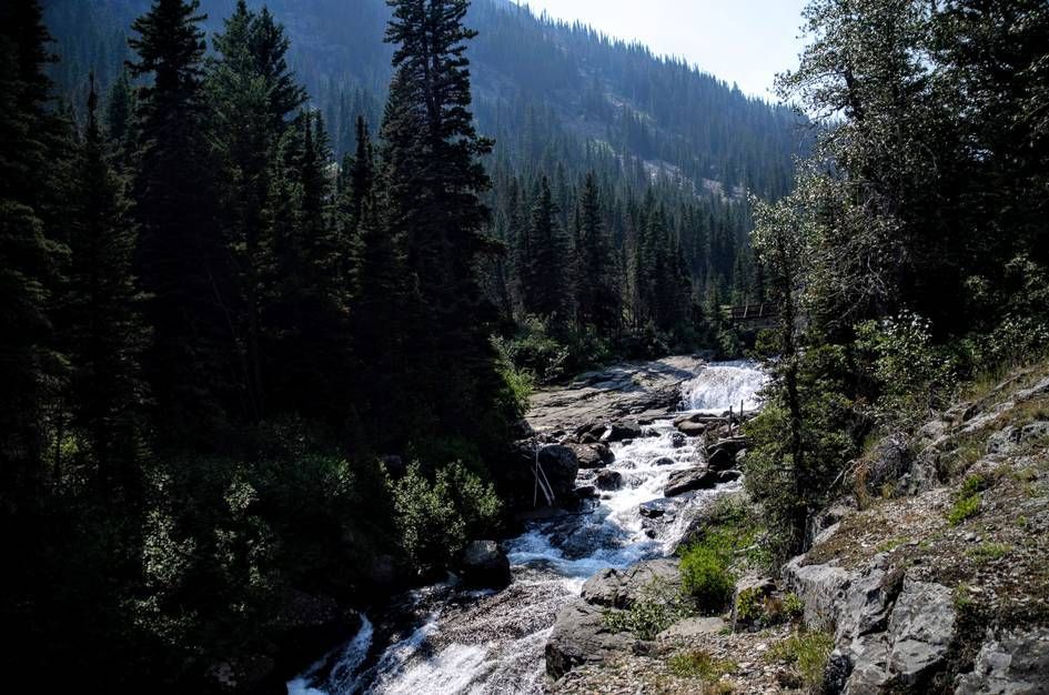 Rushing creek with small waterfall near footbridge in forested valley