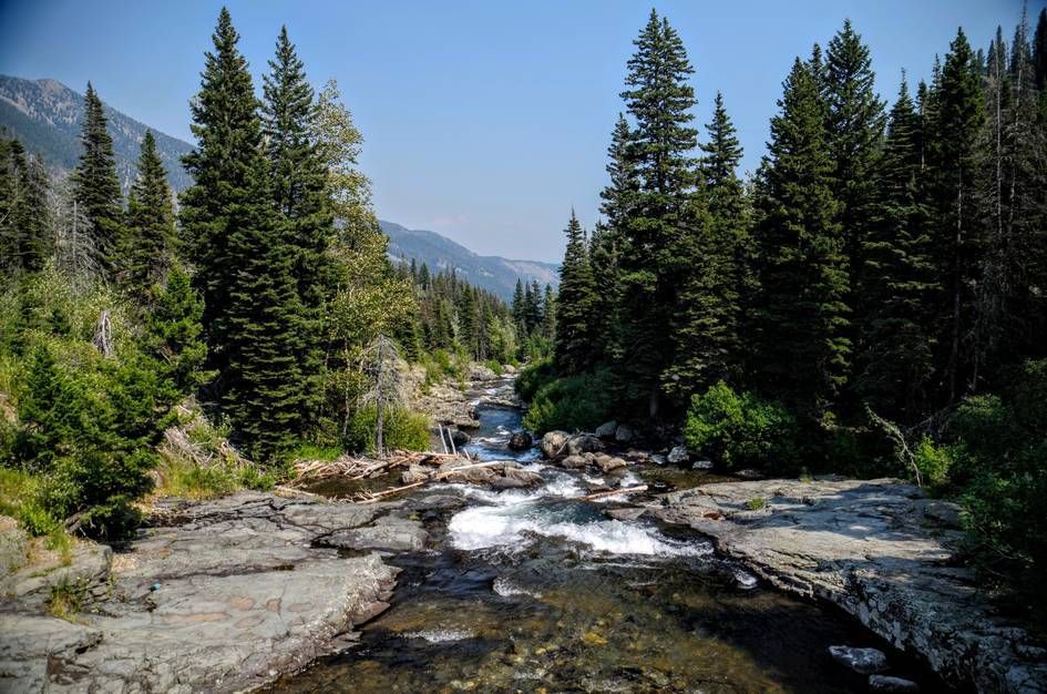 Big Timber Creek flowing over flat rock ledges through spruce forest toward mountains