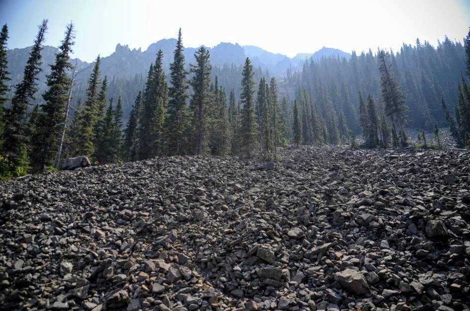Large loose rock talus field with sparse spruce and jagged peaks in distance