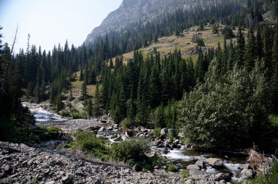 Rocky creek with waterfall flowing through mountain valley with steep slopes and forest
