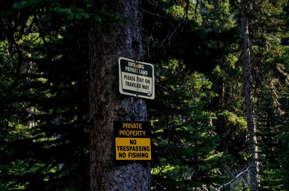 Private property and no trespassing signs posted on tree in dense forest