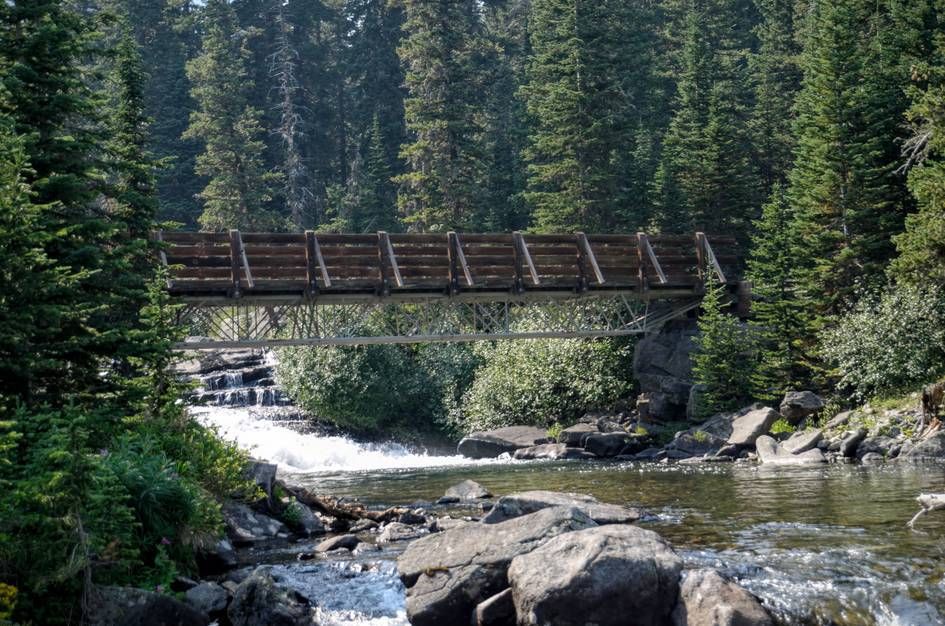 Metal footbridge spanning creek with cascading water and spruce forest