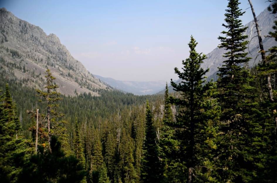 View down forested valley between steep rocky mountain slopes