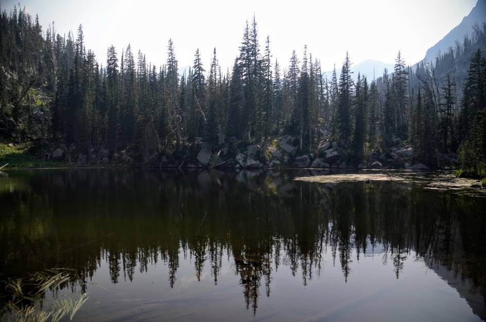Small alpine lake reflecting dense spruce forest along shore