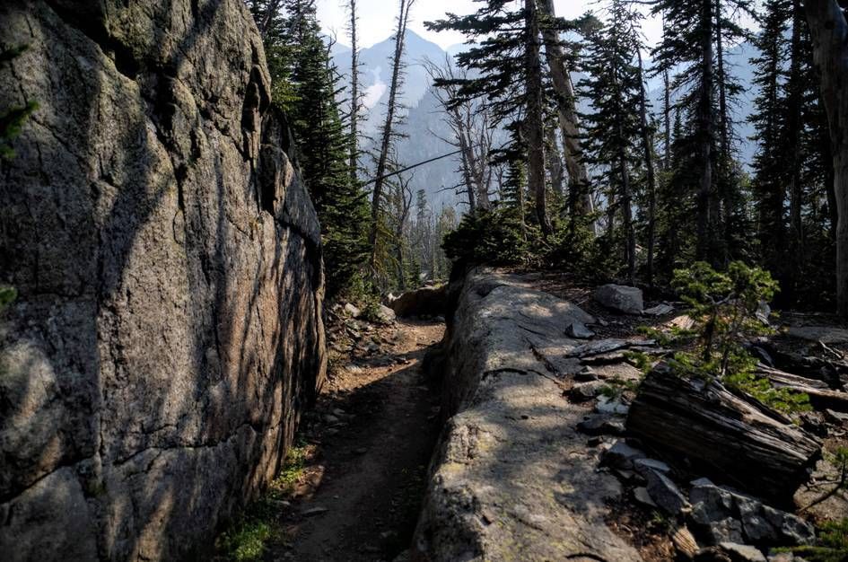 Trail passing between large boulders through sparse forest toward distant peaks