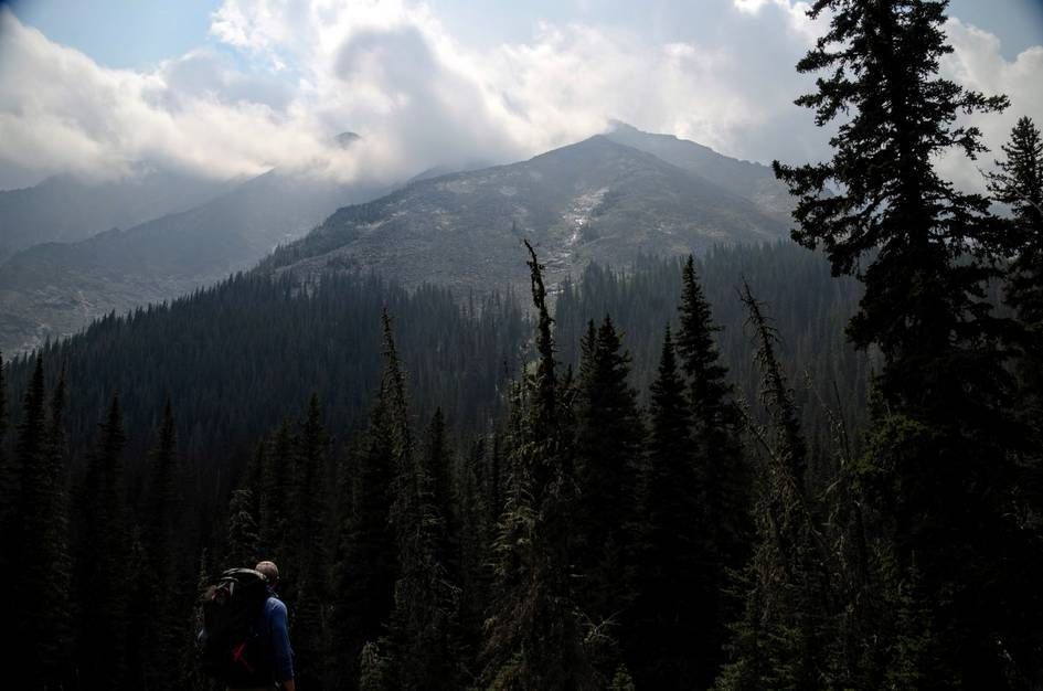 Hikers viewing cloud-shrouded peaks above dense spruce forest valley