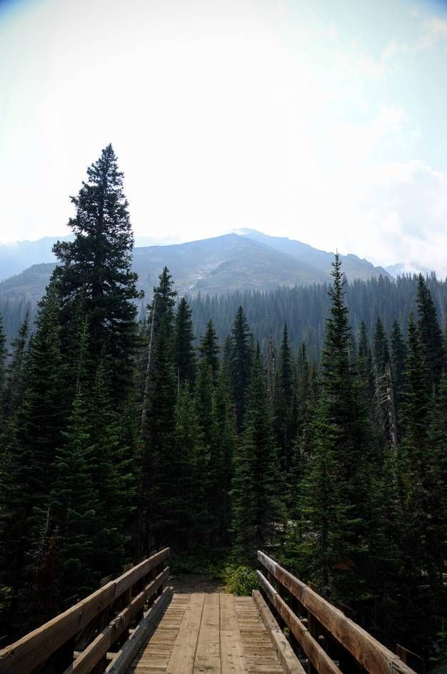Wooden footbridge leading toward spruce forest with cloudy mountain peaks