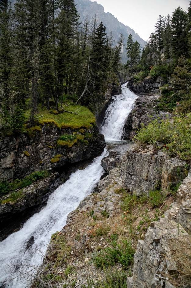 Multi-tiered Big Timber Falls cascading down layered rock with spruce and moss