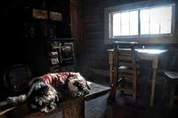 Featured image for Mystic Lake Cabin