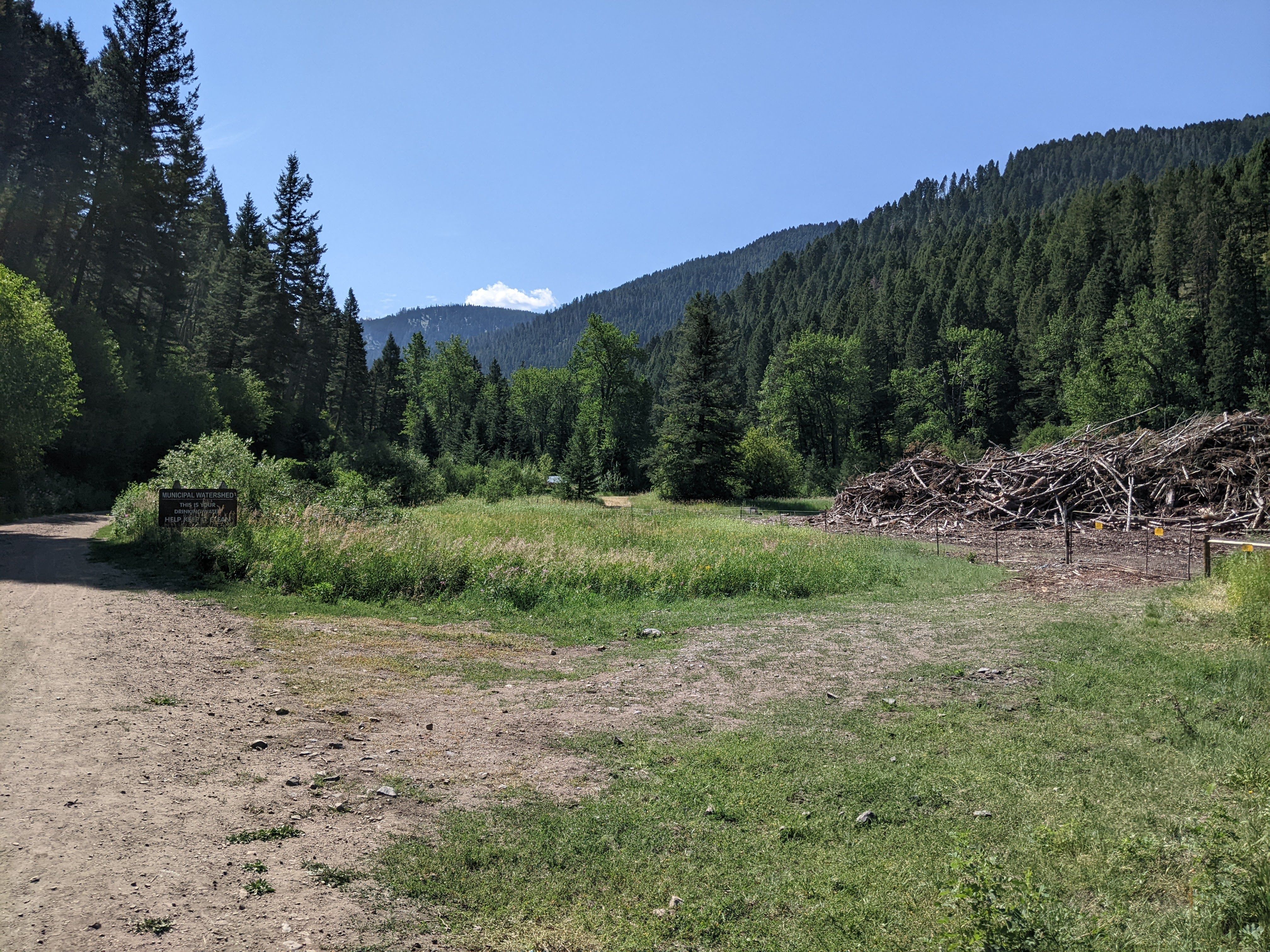 Grassy meadow with trailhead sign and forested mountains in background