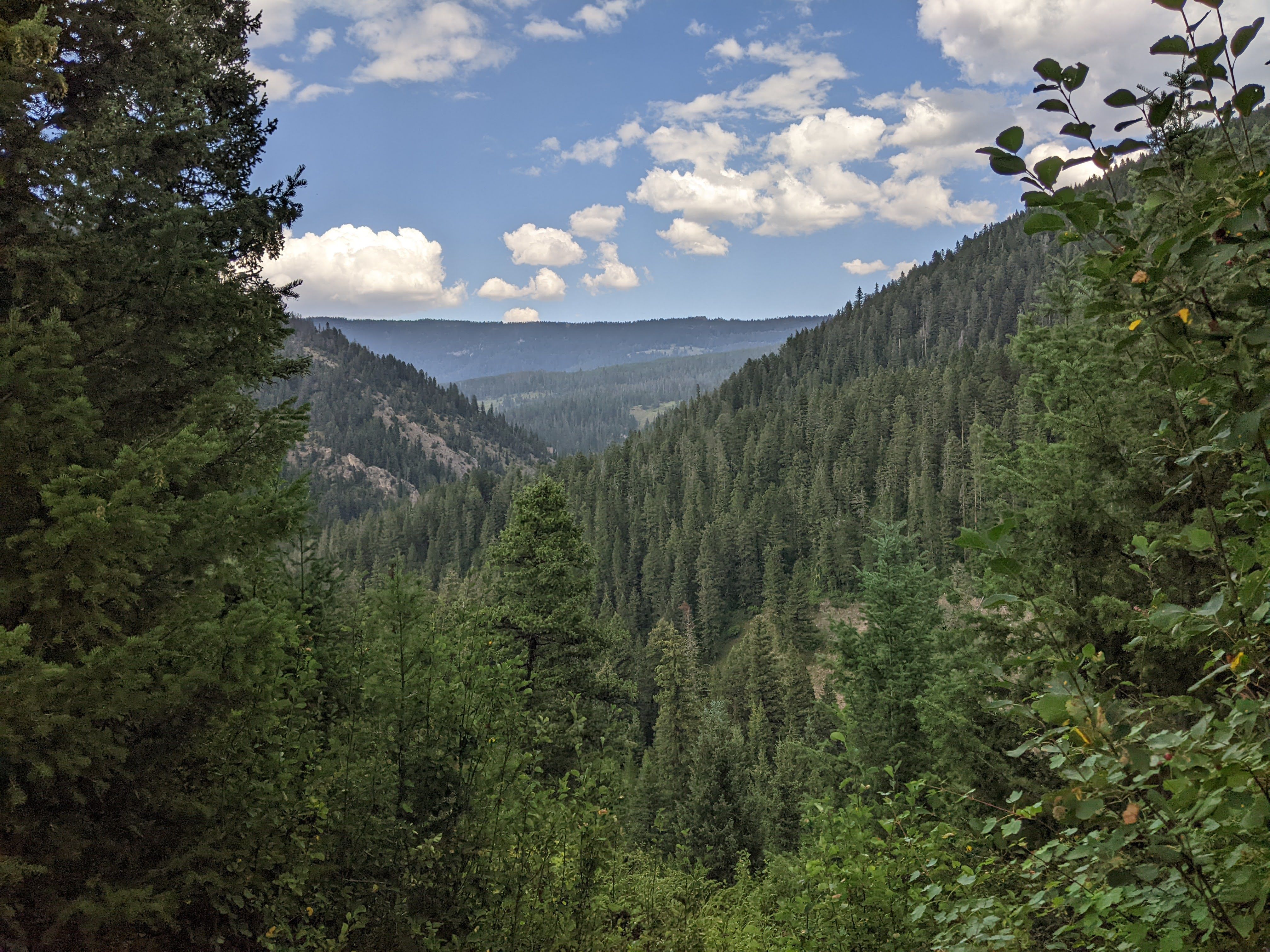 View down Sourdough Canyon with forested ridges receding into haze