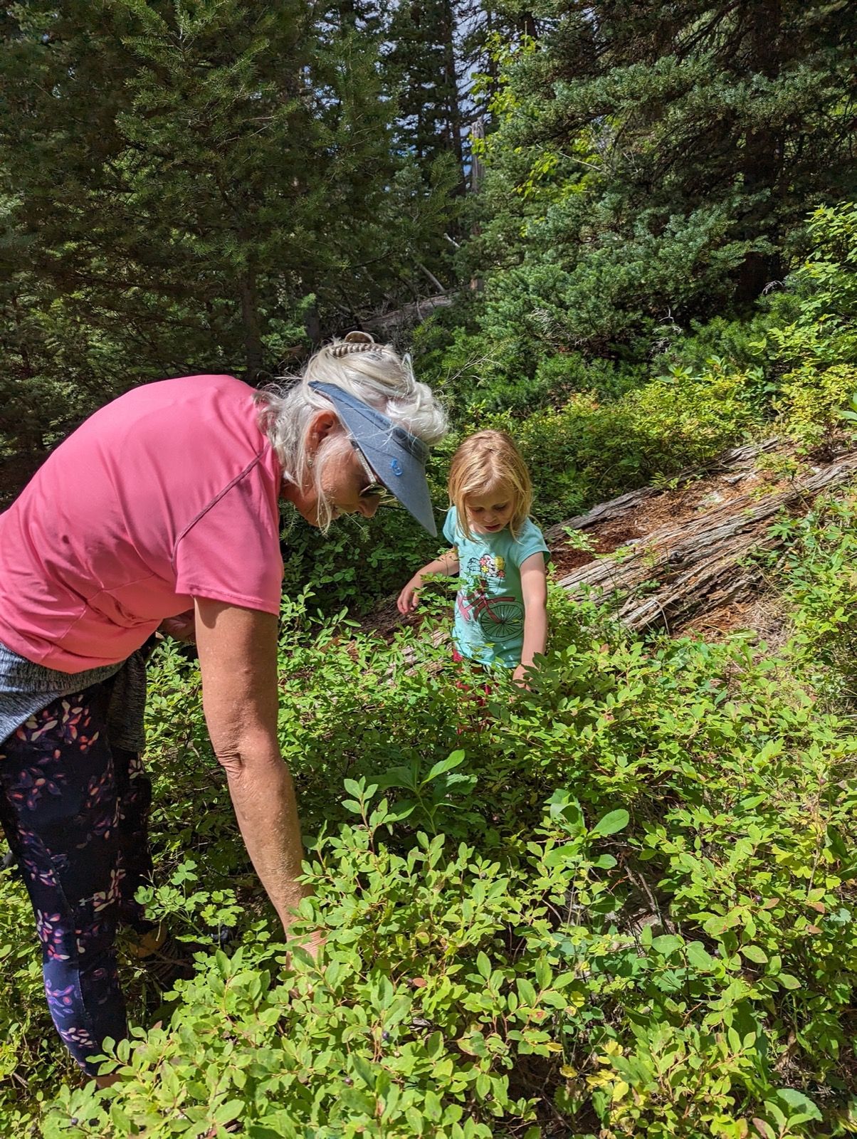 Grandmother and granddaughter picking berries on a hillside