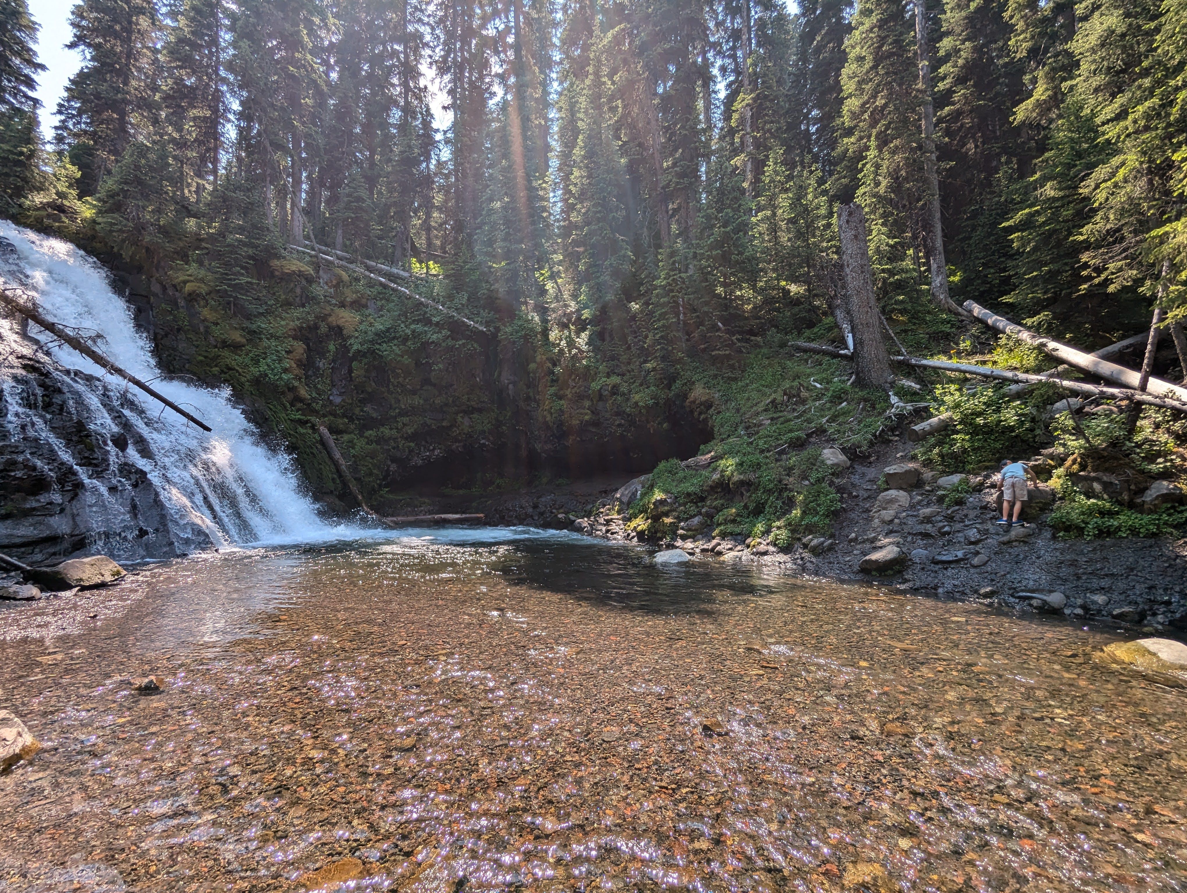 Grotto Falls cascading into a sunlit pool surrounded by spruce forest in Hyalite Canyon