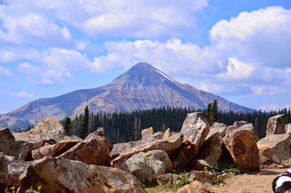 Lone Peak rising above orange lichen-covered boulders and evergreen forest