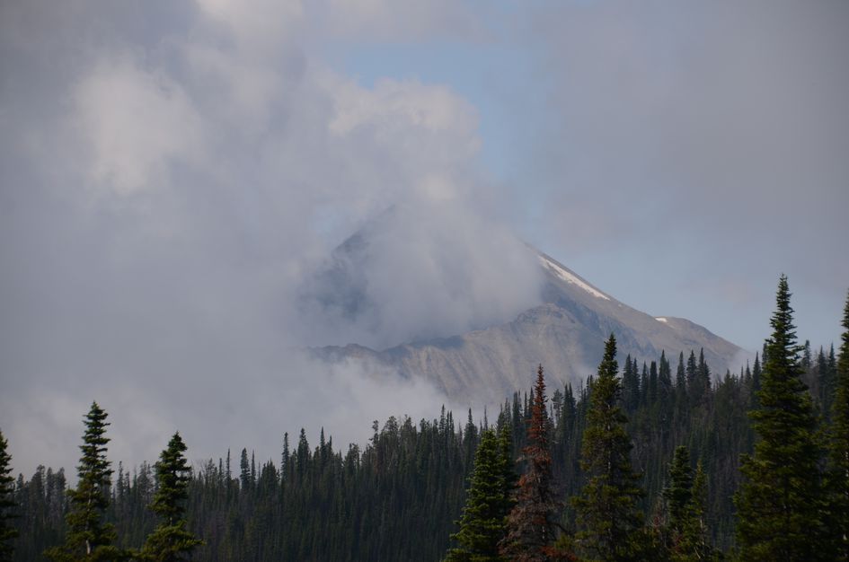 Lone Peak summit emerging from dramatic swirling clouds above evergreen forest