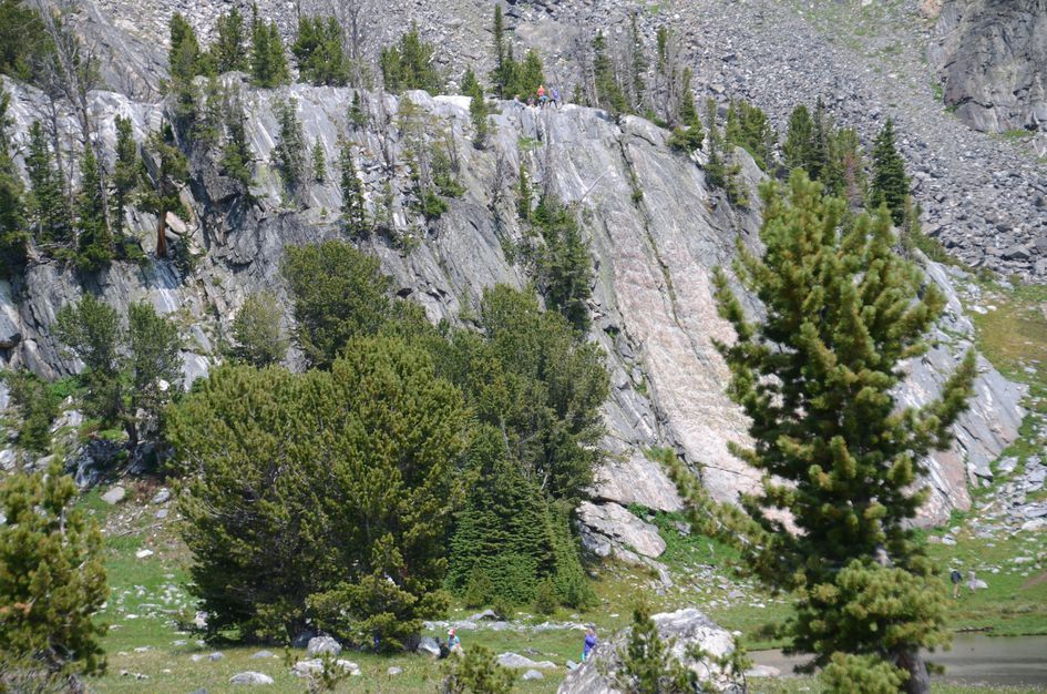 Granite cliff with hikers visible on top and scattered pines at base