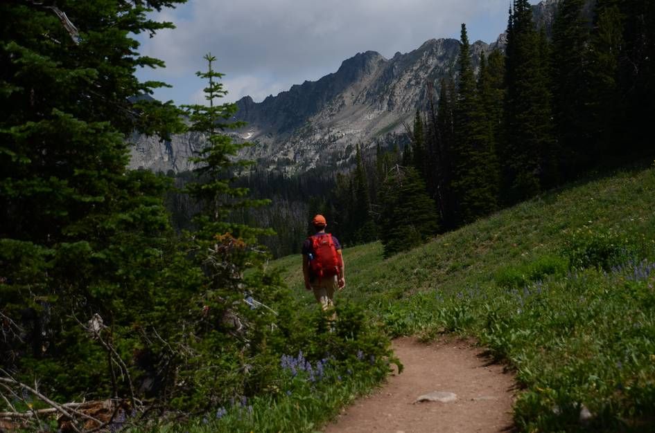 Hiker with red backpack on trail through lupine wildflowers with granite peaks ahead