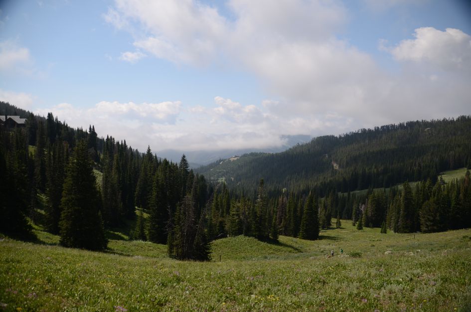 Expansive alpine meadow dotted with spruce trees and low clouds over forested ridges