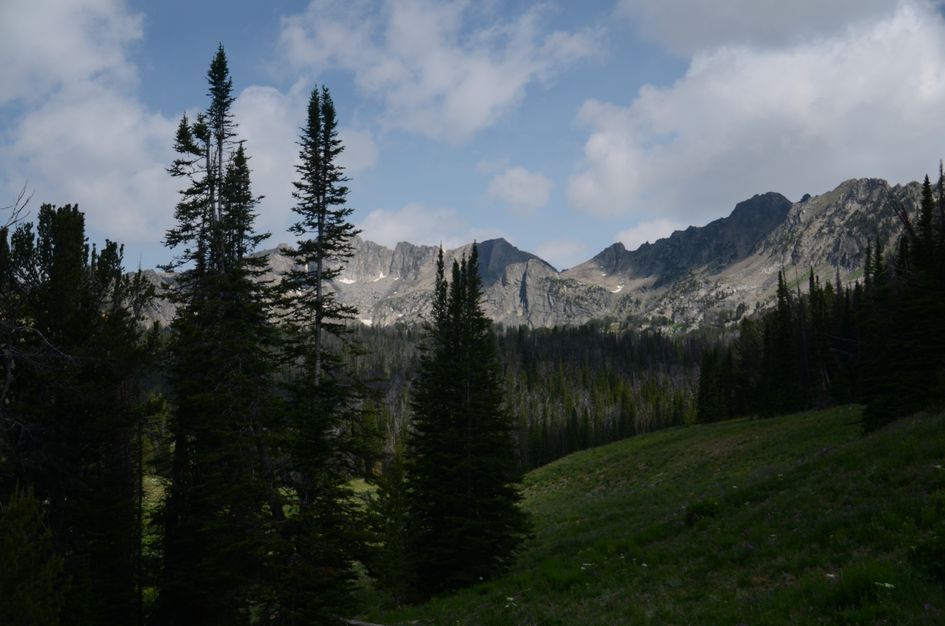 Tall spruce trees framing distant view of granite peaks and forested valley