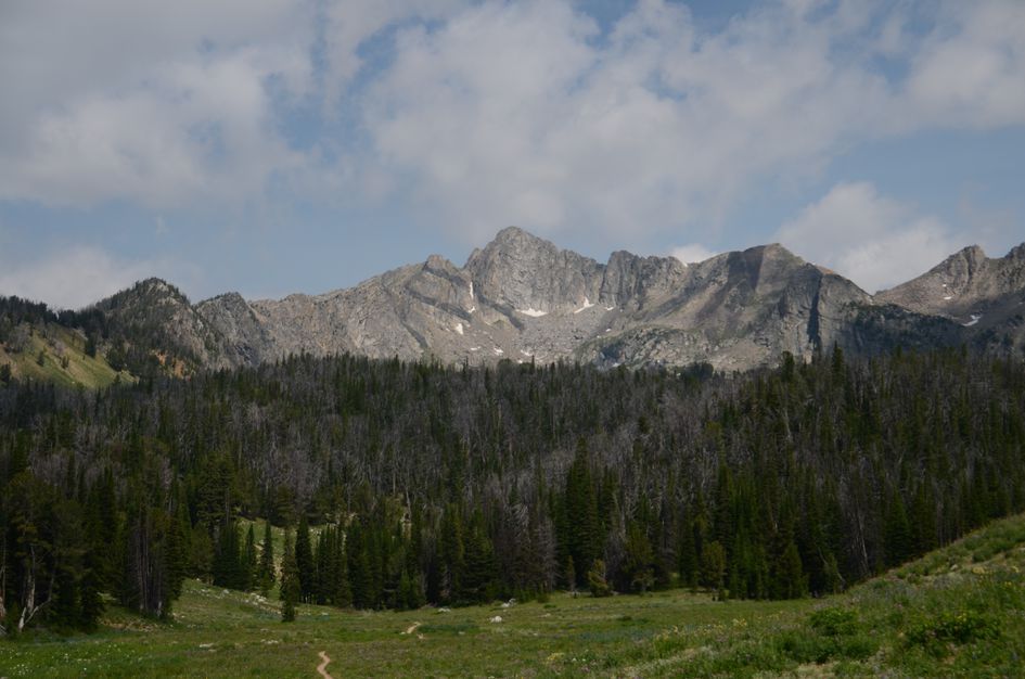Dirt trail winding through meadow toward jagged granite peaks with mixed green and burned forest