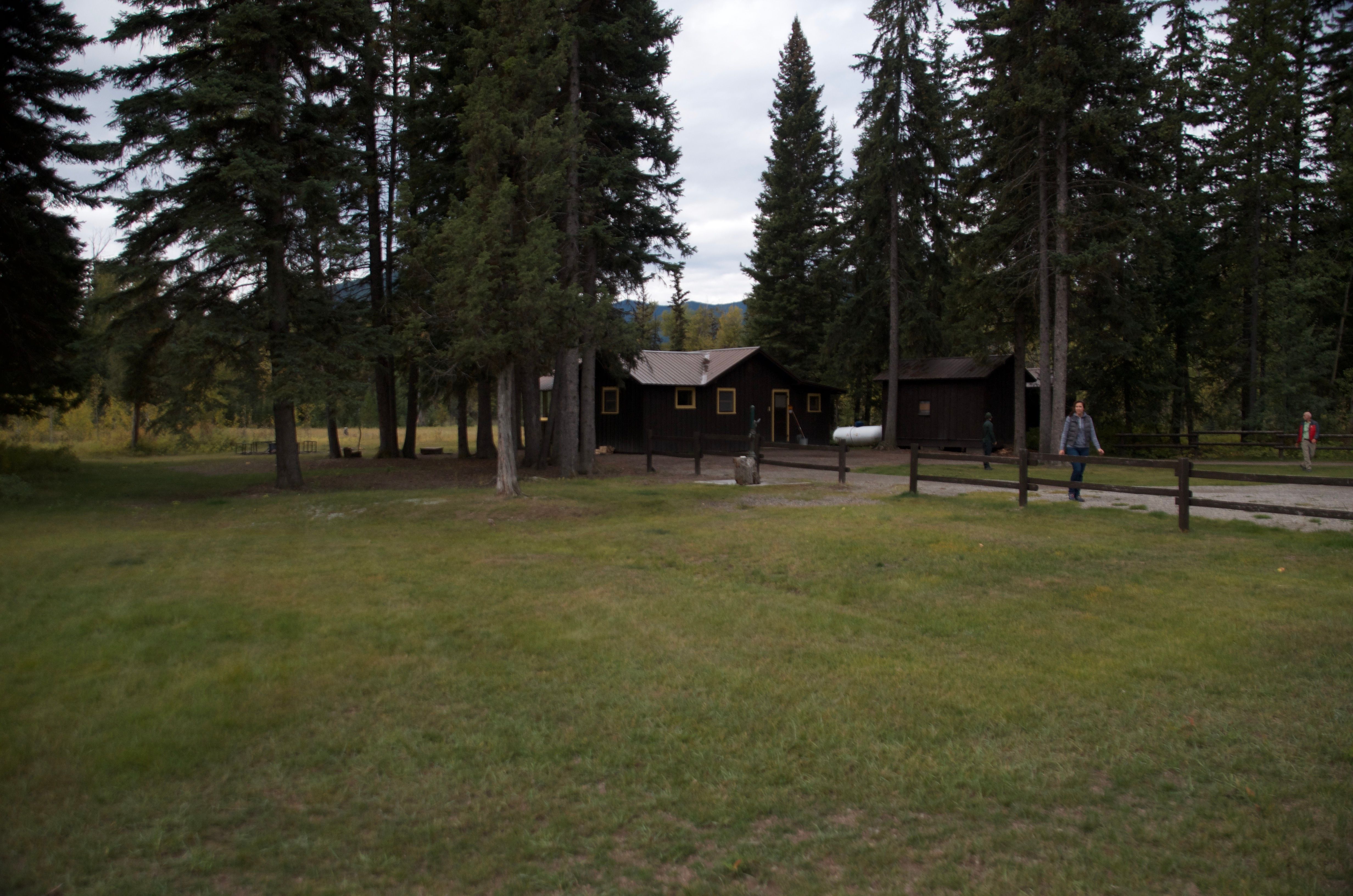 Wide view of Ben Rover Cabin property and surrounding forest