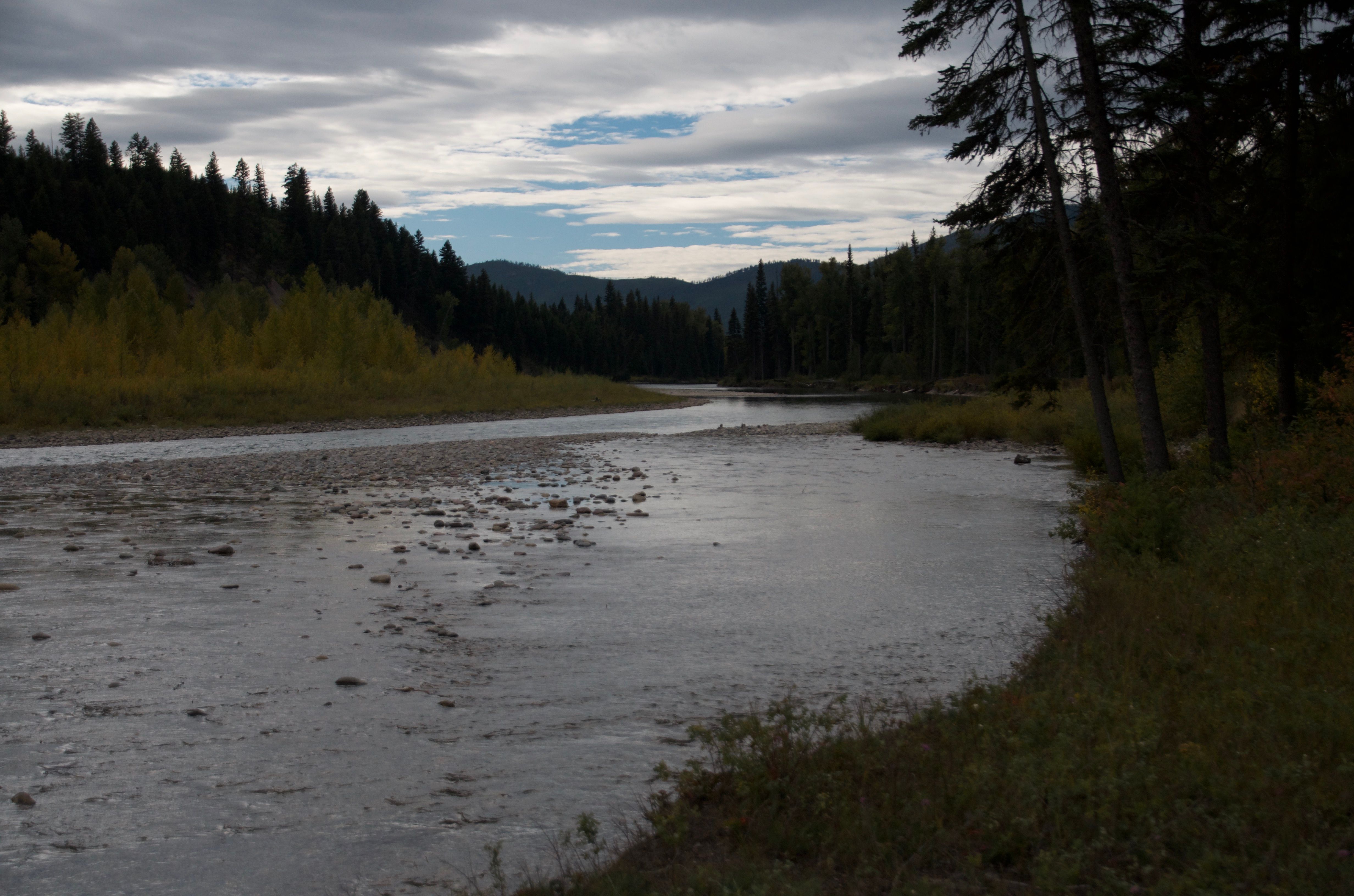 North Fork of the Flathead River near Ben Rover Cabin