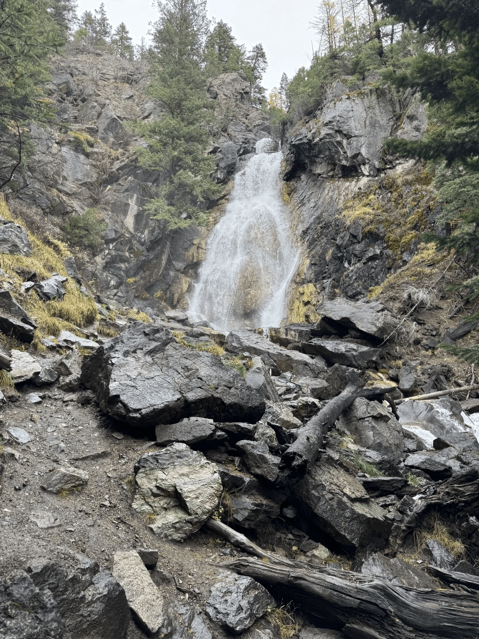Holland Falls cascading down a rocky cliff face surrounded by large boulders and downed logs