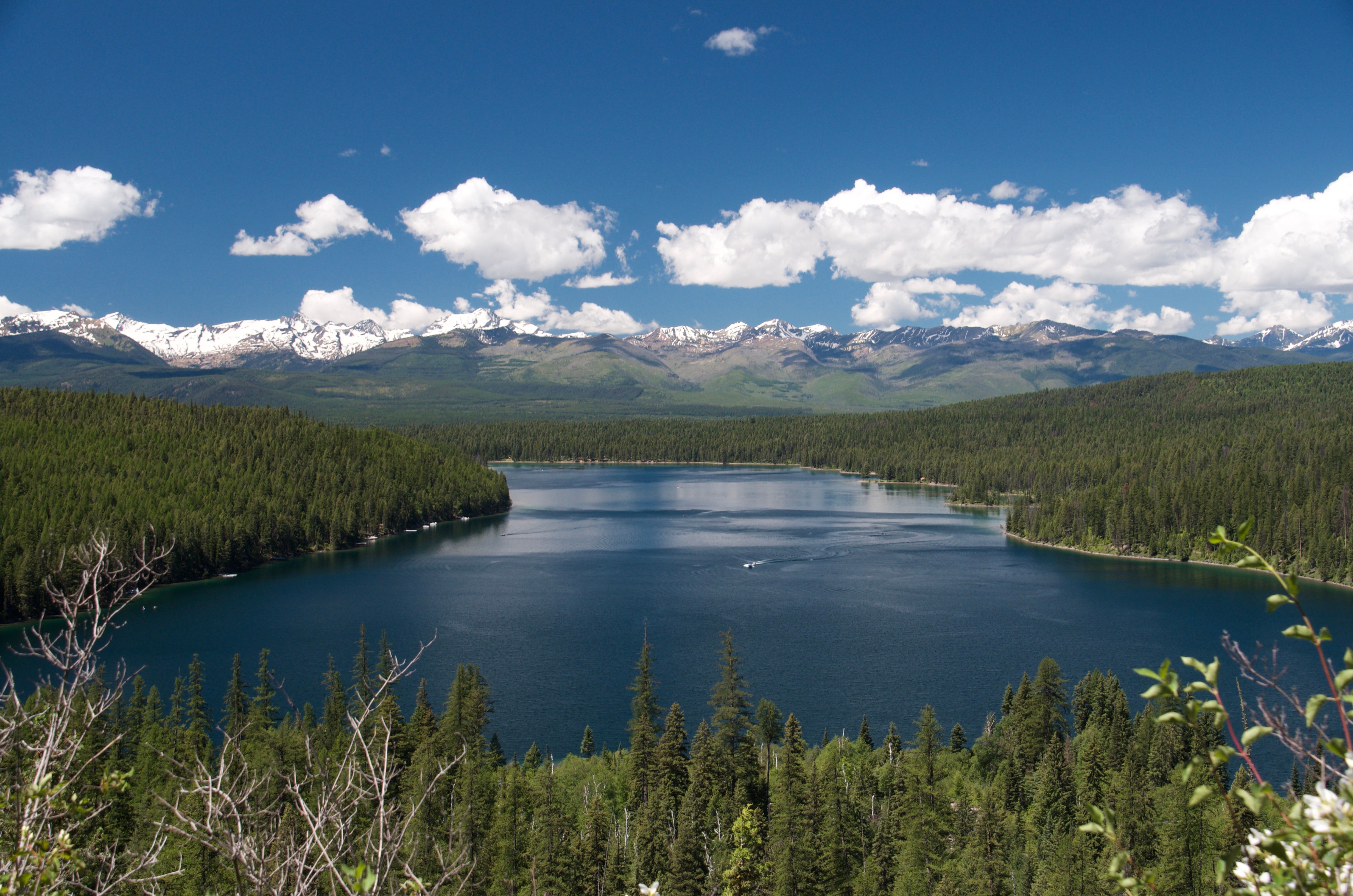 Aerial view of Holland Lake surrounded by forest with the Mission Mountains stretching across the horizon