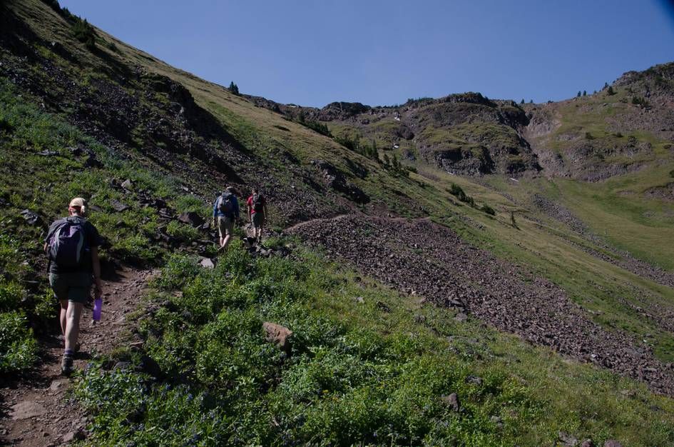 Hikers climbing steep switchbacks through alpine vegetation toward summit