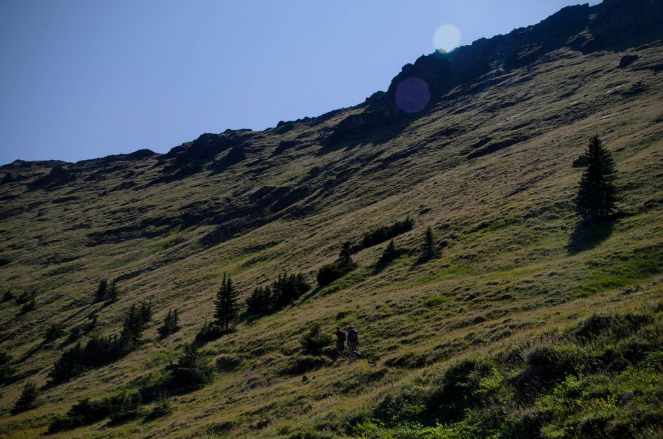 Hikers ascending steep grassy alpine slope with rocky summit above