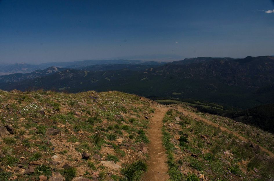 Summit trail with wildflowers and expansive mountain range views