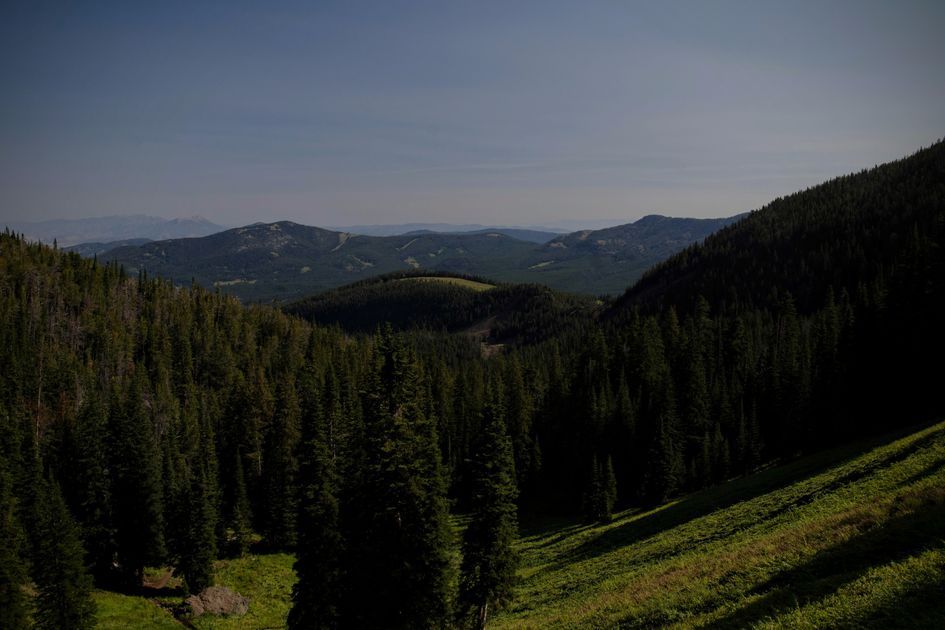 Forested ridges and valleys of the Gallatin Range fading into haze