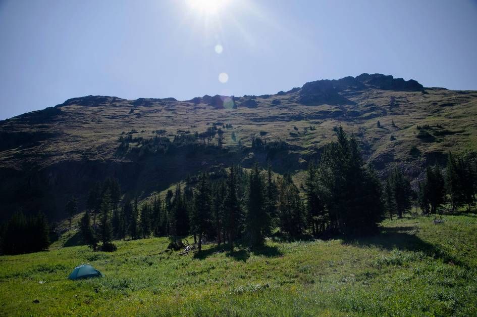 Backcountry tent in alpine meadow with Mount Blackmore summit behind