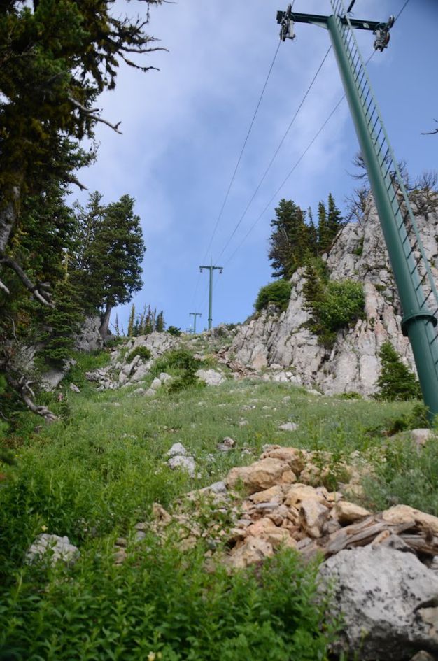 Rocky section with chairlift poles leading up to limestone cliffs