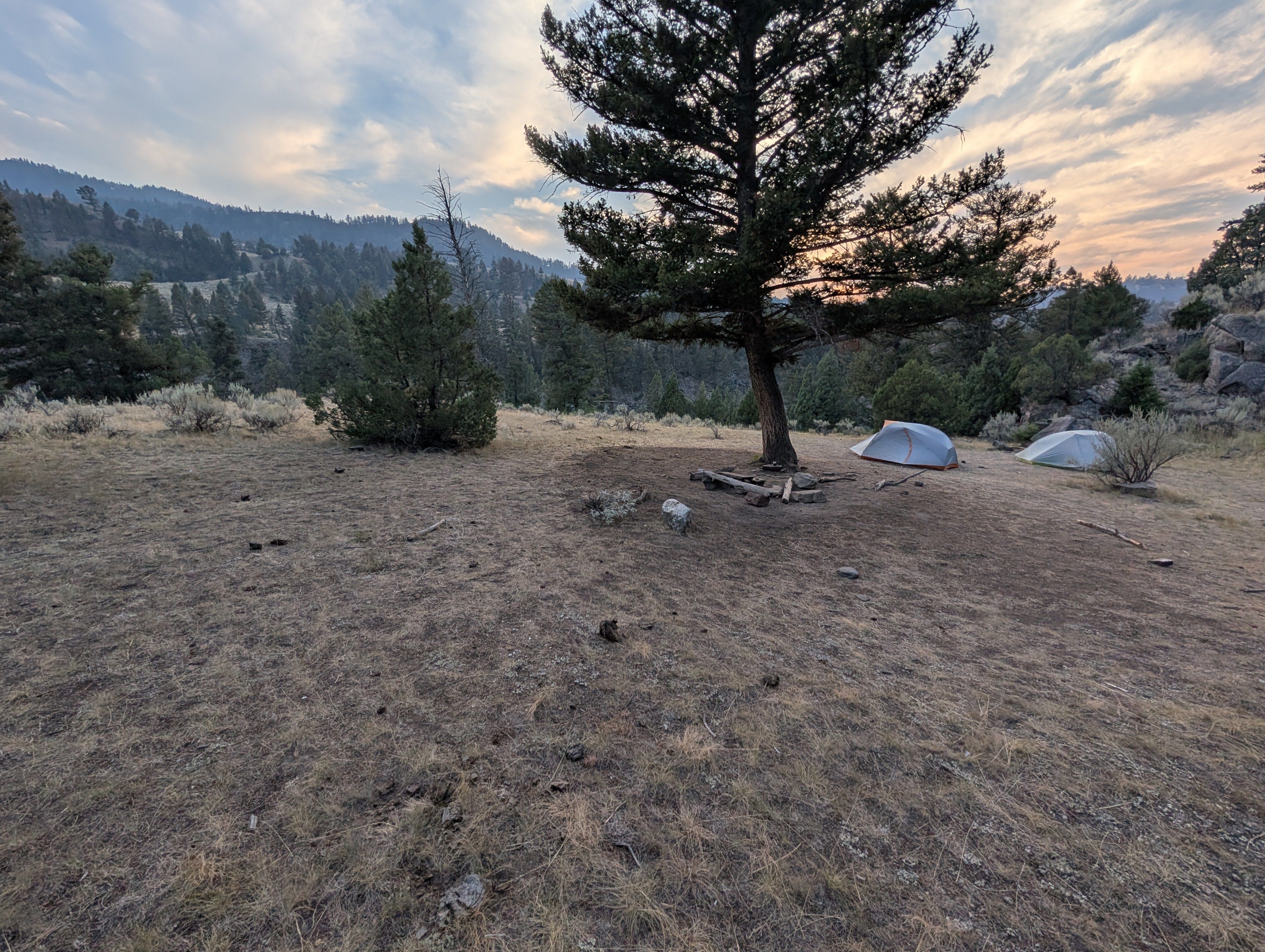 Two tents at Yellowstone’s 2H1 backcountry campsite beneath a pine at sunset