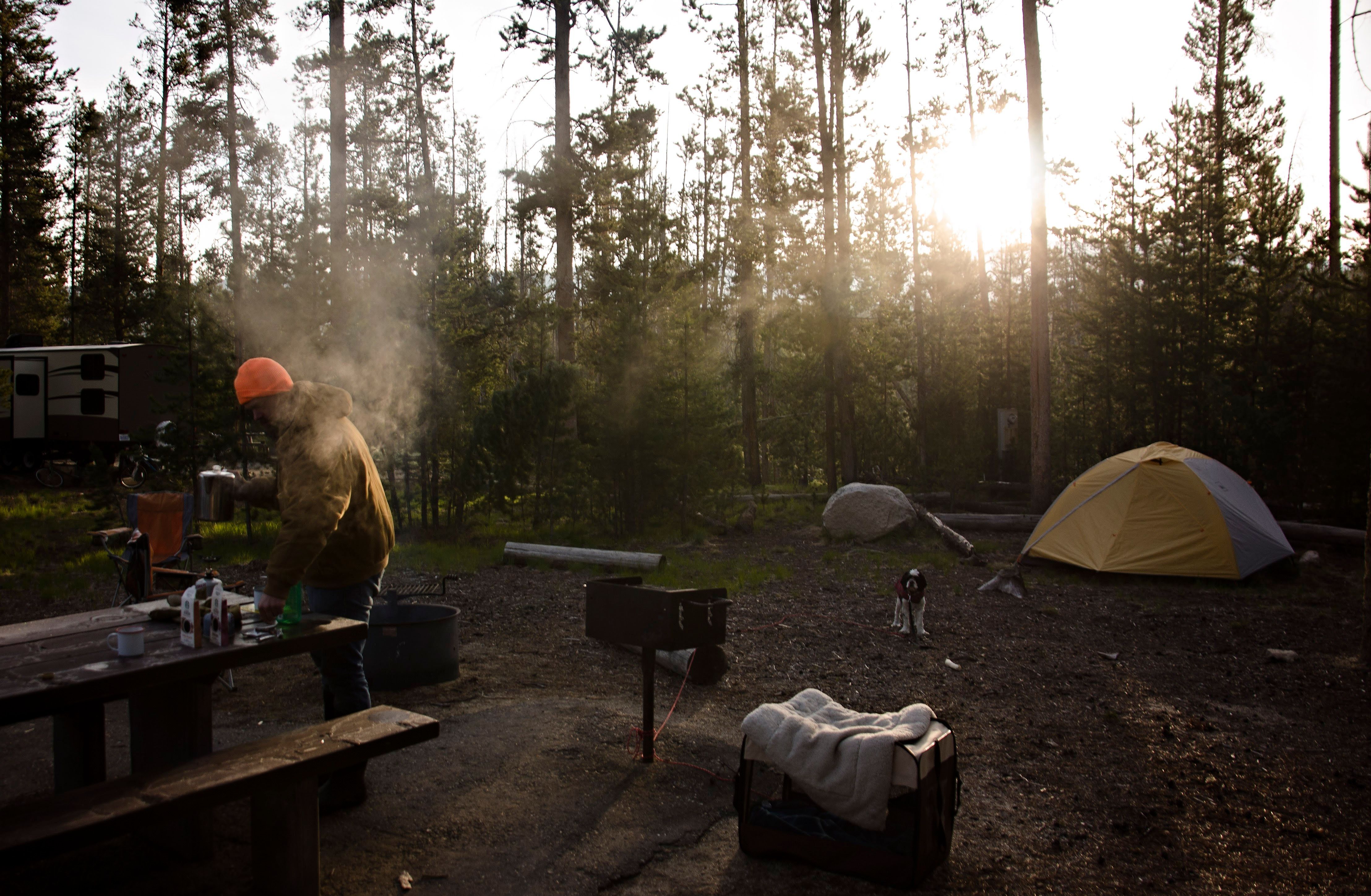 Camper cooking at a site in the pine trees at golden hour with tent and dog in the background