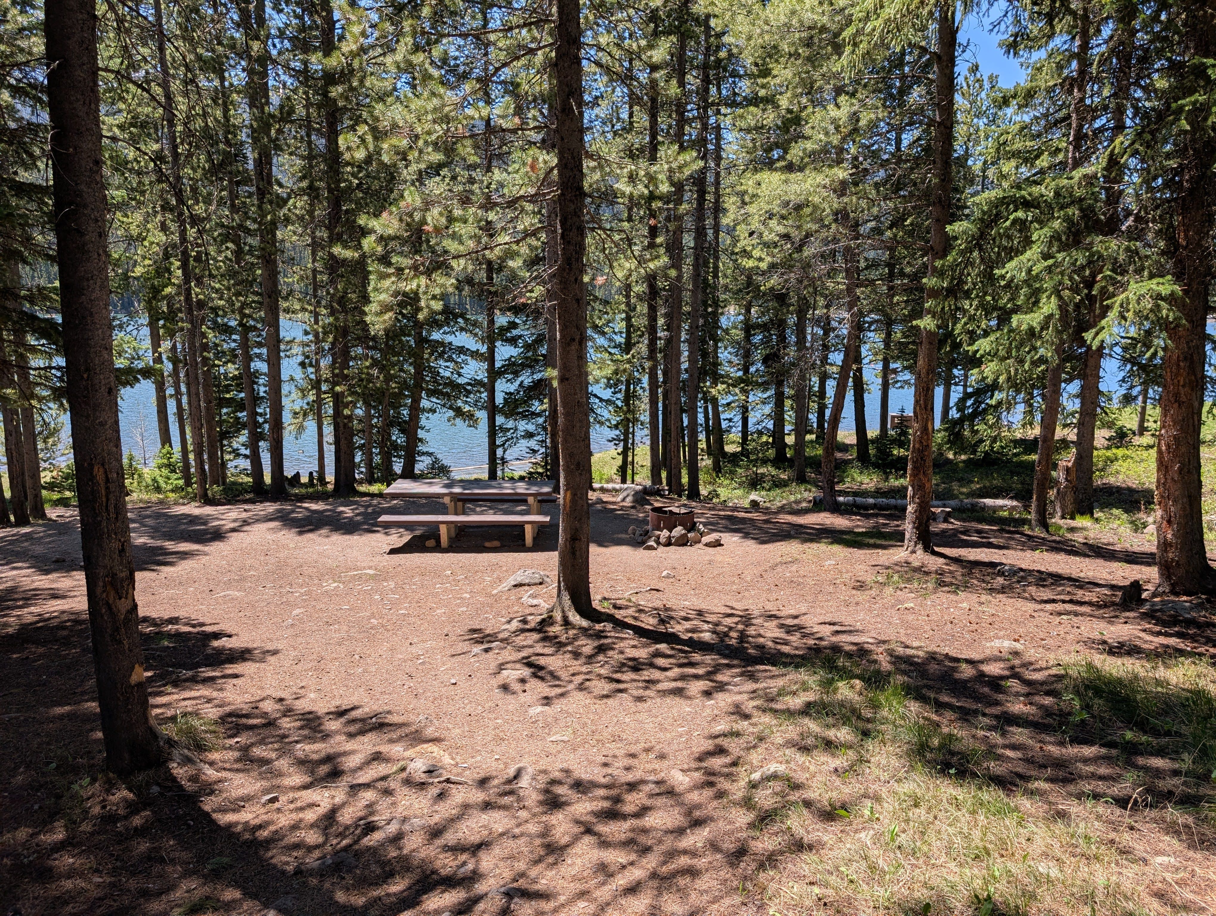 Campsite picnic table with reservoir view through the trees