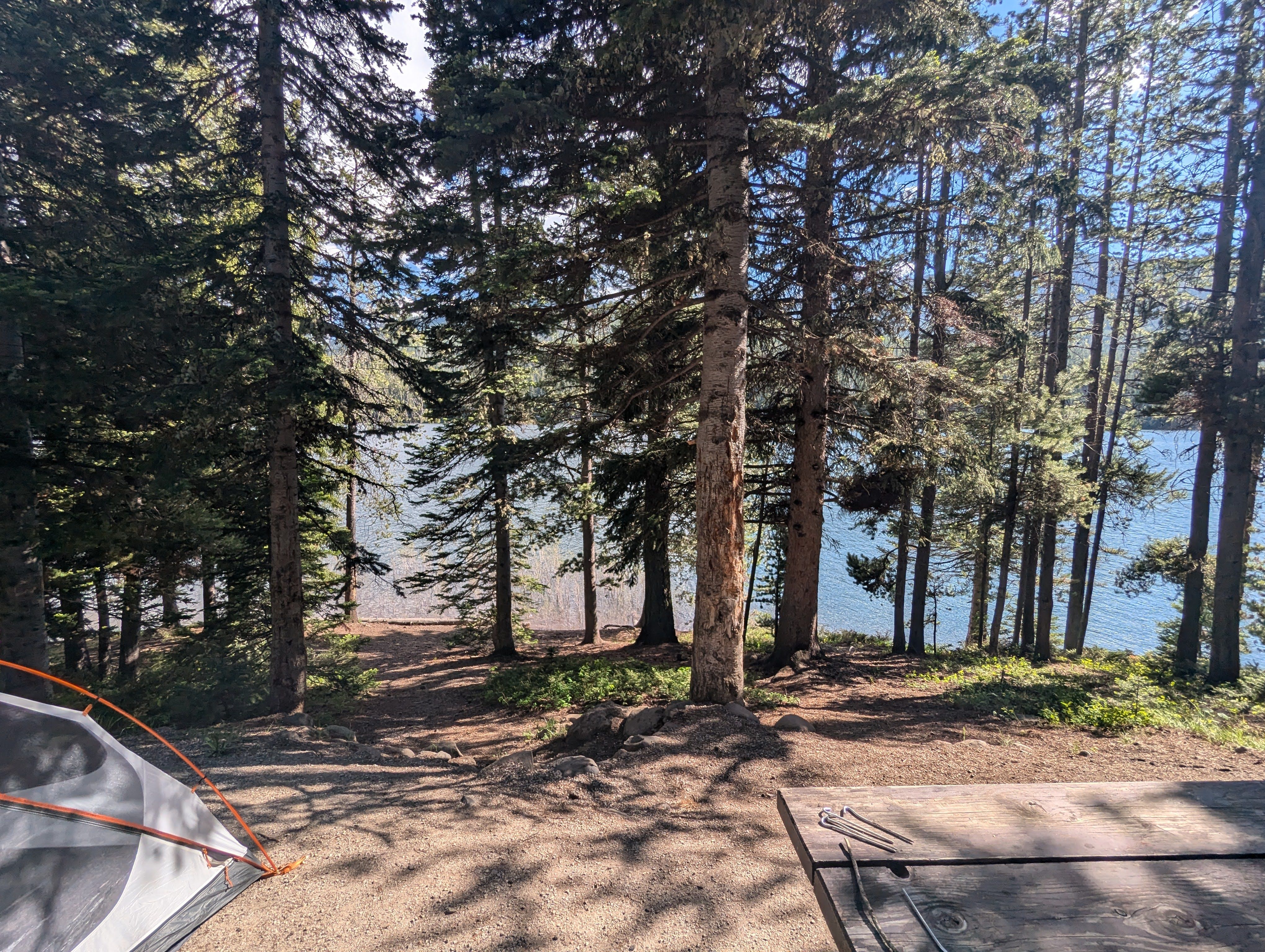 Campsite with orange tent among pine trees overlooking the reservoir