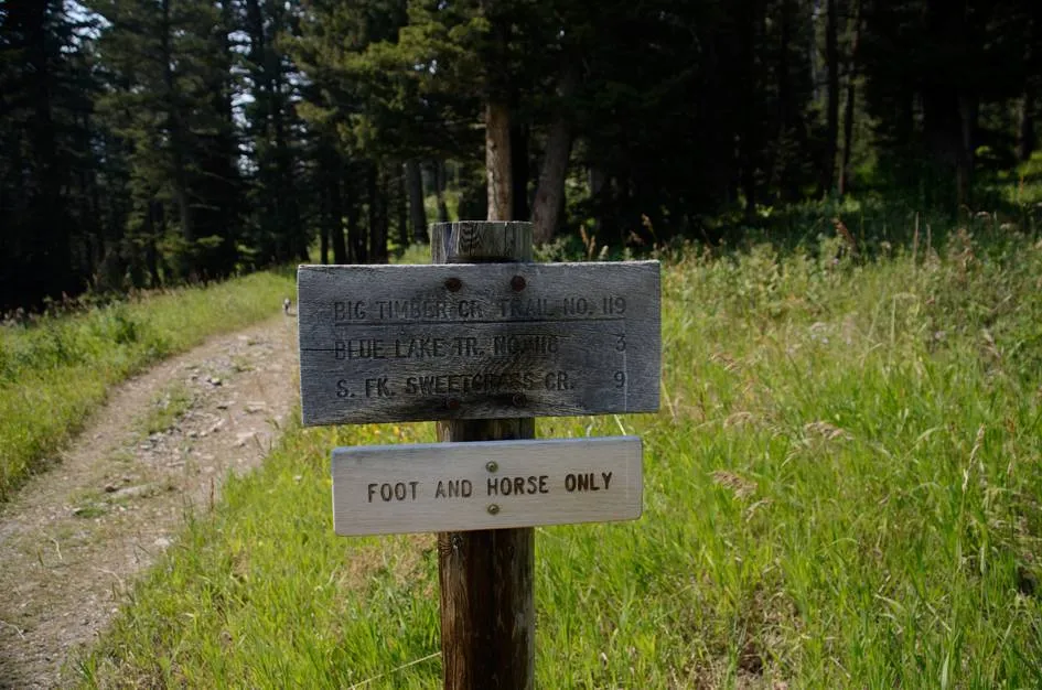 Crazy Mountains viewed from a distance across open plains