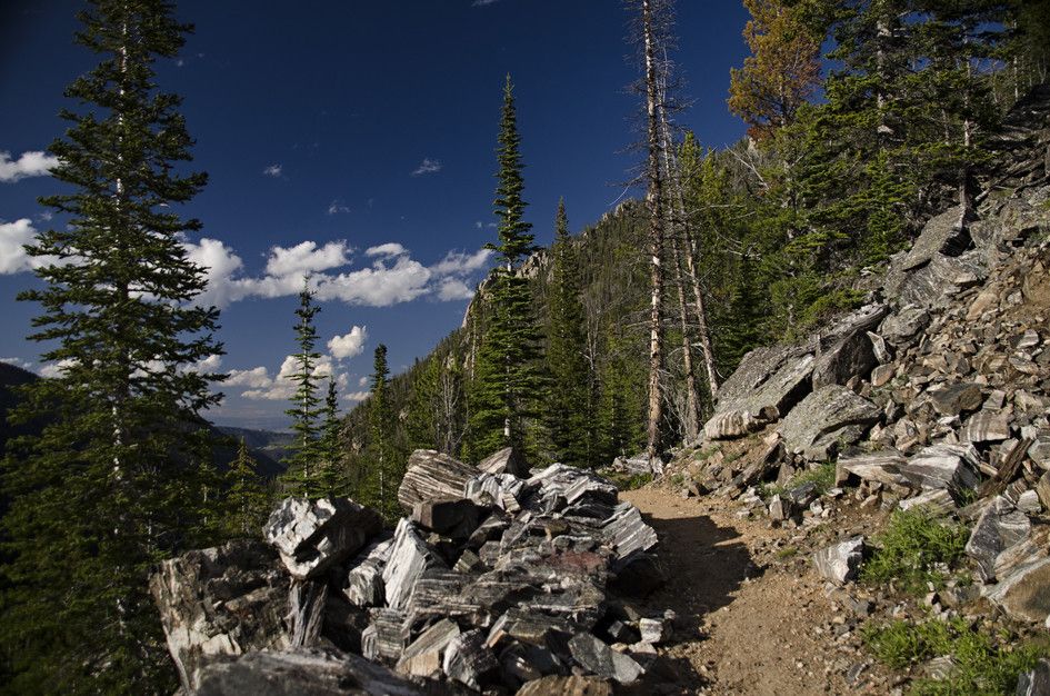 Rocky trail through scattered spruce trees with striped metamorphic boulders