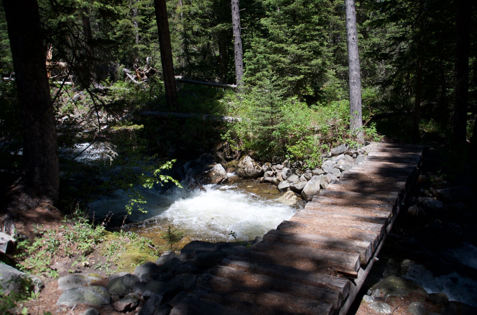 Wooden bridge over rushing Spanish Creek in shaded forest