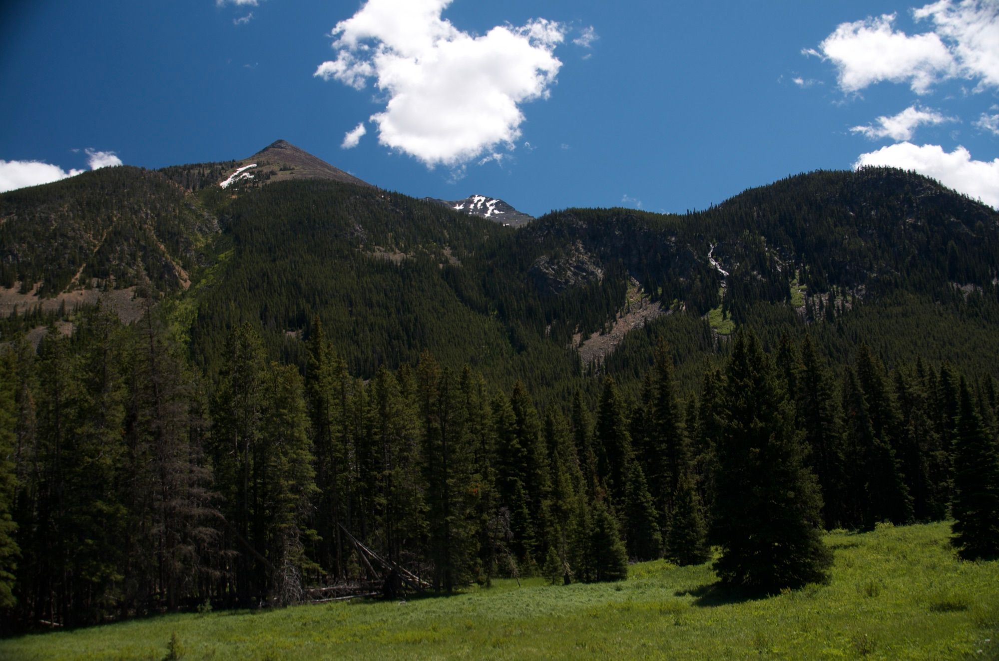 Green meadow with forested mountain slopes and peaks beyond