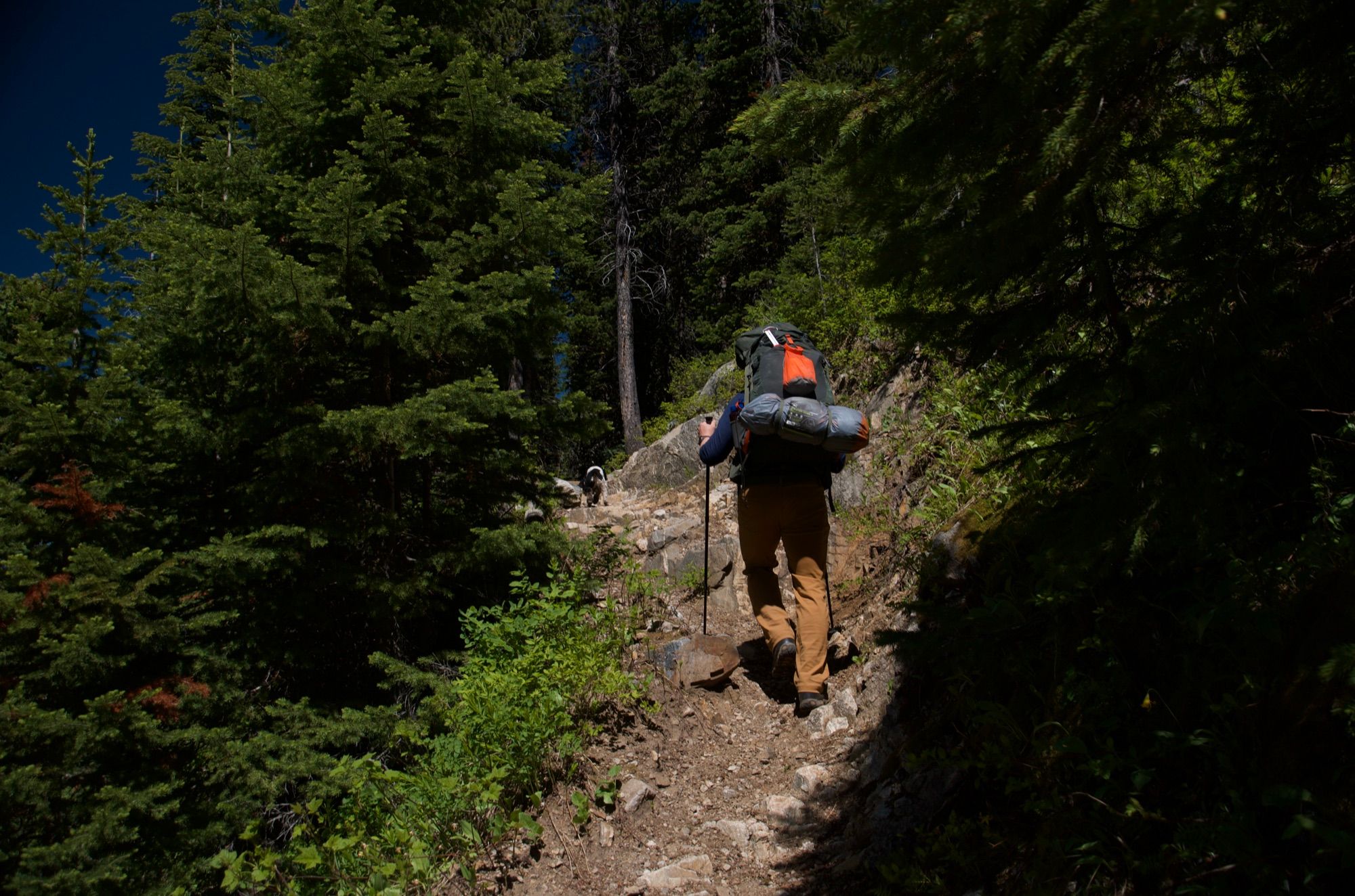 Backpacker ascending steep rocky trail through forest