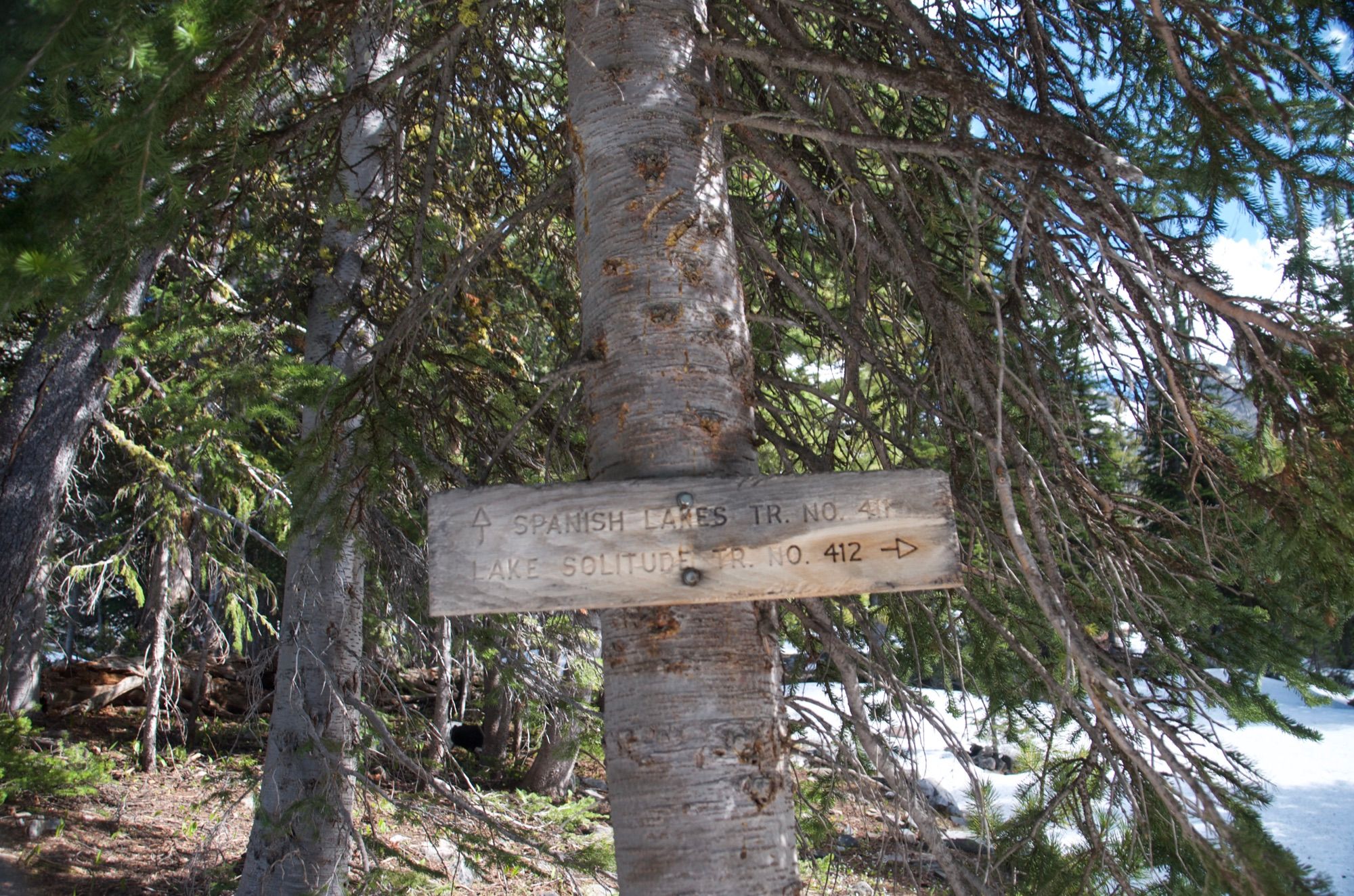 Trail sign for Spanish Lakes and Lake Solitude partially buried in snow